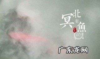 北冥有鱼原文及注释 北冥有鱼原文及翻译读音