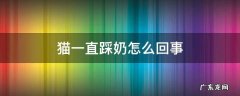 猫踩奶频繁是怎么了 猫一直踩奶怎么回事