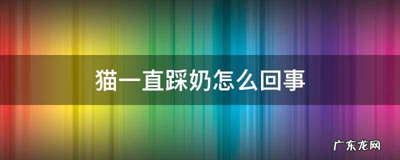 猫踩奶频繁是怎么了 猫一直踩奶怎么回事