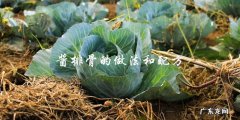 如何制作美味的酱排骨？有什么好的配方可以分享？