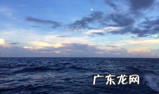 海洋生物最丰富的大洋是 海洋生物最丰富的大洋