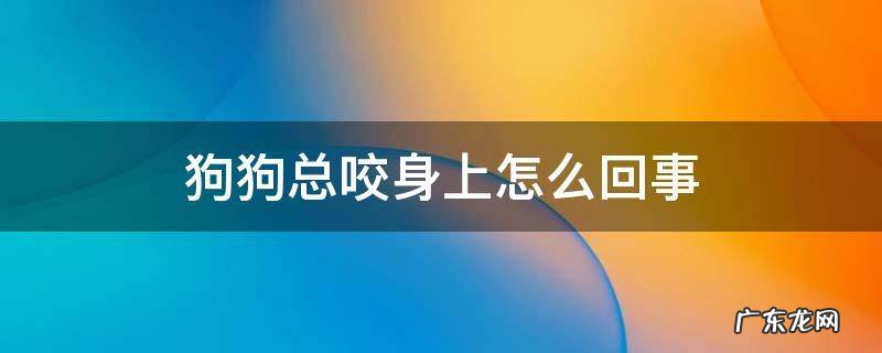 狗狗总咬身上怎么回事 小狗总是咬身上怎么办
