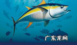女人梦见别人抓到了鱼 女人梦到别人抓到鱼是什么征兆