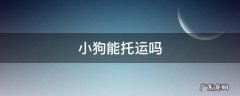 请问物流可以托运小狗吗 小狗能托运吗
