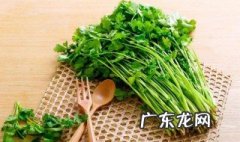 香菜哪个季节有 香菜哪个季节有卖