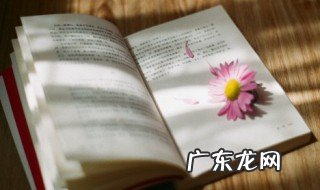 李杜指的是李白和杜牧对吗 李杜是指李白和什么
