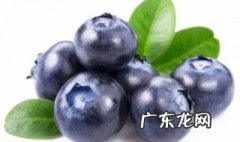 蓝莓有营养价值吗 蓝莓有什么功效和营养价值