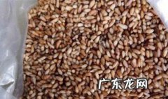 柏子仁的作用和功效 柏子仁的作用与功效禁忌