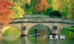 再别康桥青荇的意境 再别康桥中的青荇指的是谁