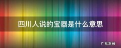 四川说宝器啥意思 四川人说的宝器是什么意思