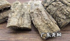 杜仲草药有什么功效与作用禁忌 杜仲草药有什么功效与作用