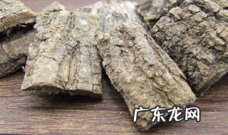 杜仲草药有什么功效与作用禁忌 杜仲草药有什么功效与作用