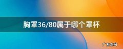 胸罩杯36/80是多大 胸罩36/80属于哪个罩杯