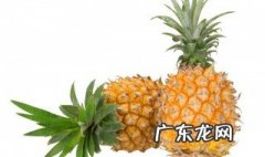 菠萝怎么削皮 菠萝怎样瓜皮