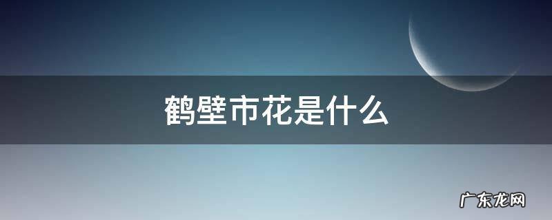 鹤壁市花是什么花 鹤壁市花是什么
