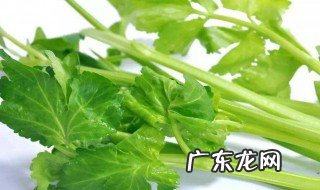 芹菜的功效与作用及副作用 芹菜的功效与作用