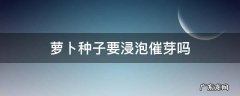 萝卜种子要浸泡催芽吗 胡萝卜种子要浸泡催芽吗