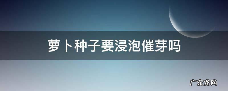 萝卜种子要浸泡催芽吗 胡萝卜种子要浸泡催芽吗