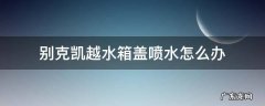 别克凯越水箱盖在哪里 别克凯越水箱盖喷水怎么办