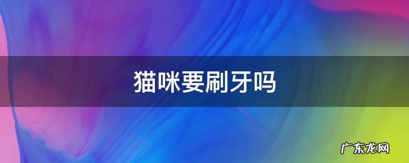 猫咪要刷牙吗 猫咪要刷牙吗多久刷一次