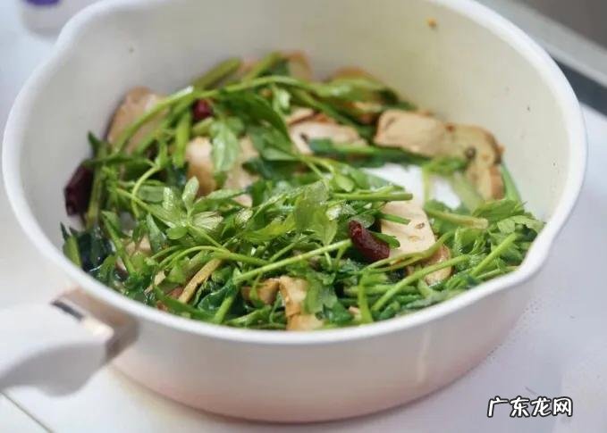 午餐是补蛋白黄金期！建议中老年人：吃3款高蛋白午餐，增强免疫