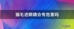 人眼睛进猫毛会有危害吗 猫毛进眼睛会有危害吗