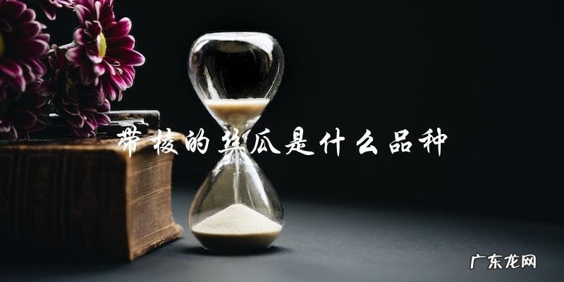 带棱的丝瓜是哪个品种？