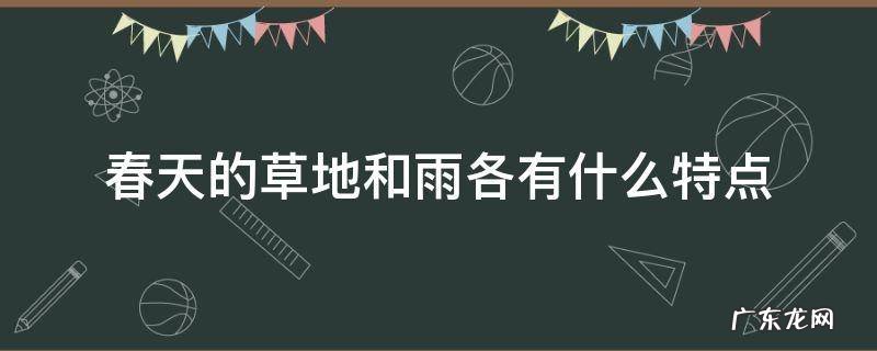 雨的四季中春天的雨有什么特点 春天的草地和雨各有什么特点