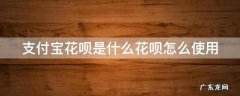 支付宝里的花呗是什么意思搞不懂 支付宝花呗是什么花呗怎么使用