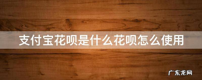 支付宝里的花呗是什么意思搞不懂 支付宝花呗是什么花呗怎么使用
