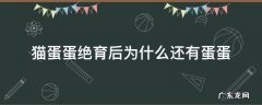 猫有蛋蛋是绝育了吗 猫蛋蛋绝育后为什么还有蛋蛋