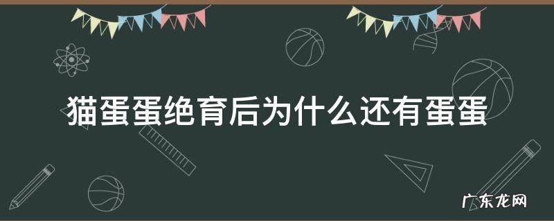 猫有蛋蛋是绝育了吗 猫蛋蛋绝育后为什么还有蛋蛋