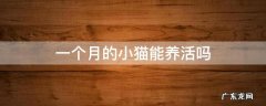 一个月的小猫能养活吗 一个多月的猫猫能养活吗?