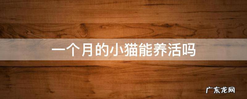 一个月的小猫能养活吗 一个多月的猫猫能养活吗?