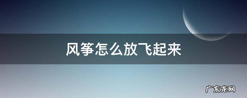 风筝怎么放飞起来 风筝怎么放飞起来视频