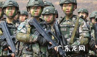 类似特种兵之火凤凰的电视剧有哪些 类似特种兵之火凤凰的电视剧有哪些名字