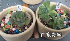 怎样养护薄化妆的皮肤 怎样养护薄化妆