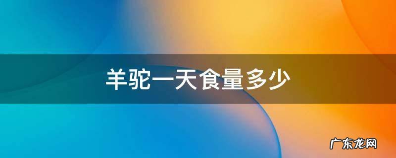 羊驼吃的多不多 羊驼一天食量多少