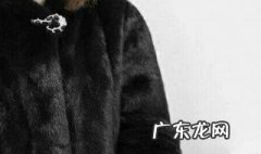 貂什么季节买最好最便宜 貂什么季节买最好