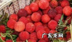 杨梅几月份是季节成熟的 杨梅几月份是季节