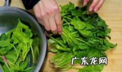 菠菜搭配什么一起吃最好呢 菠菜搭配什么一起吃最好