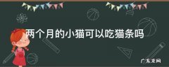 两个月小猫咪可以吃猫条吗 两个月的小猫可以吃猫条吗