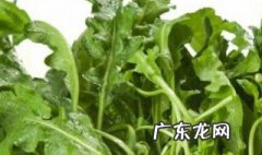 什么季节荠菜好吃又甜 什么季节荠菜好吃