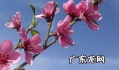 阳历三月底是什么季节 三月底是什么节日