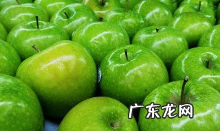 绿色苹果是什么季节的水果 绿色苹果是什么季节的