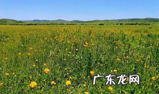 5到七月什么季节钓鱼最好 5到七月什么季节