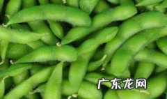 种毛豆什么季节最好卖 种毛豆什么季节最好