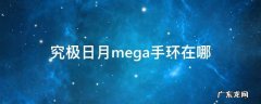 究极日月mega手环在哪 究极日月mega手环在哪波尼花园入口