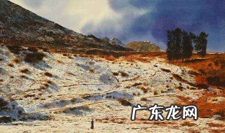 邪御天娇女主角有几个 邪御天娇女主介绍