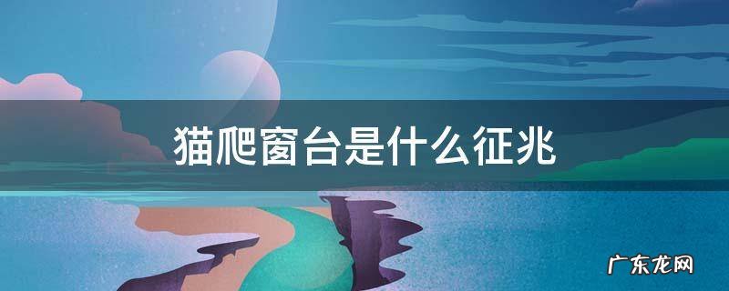 猫爬到窗户是什么征兆 猫爬窗台是什么征兆